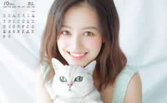 臭作中文版游戏下载